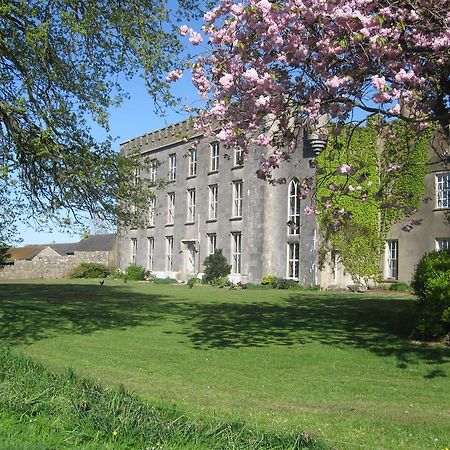 Ash Hill B & B Kilmallock Kültér fotó