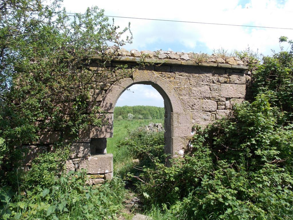 Ash Hill B & B Kilmallock Kültér fotó
