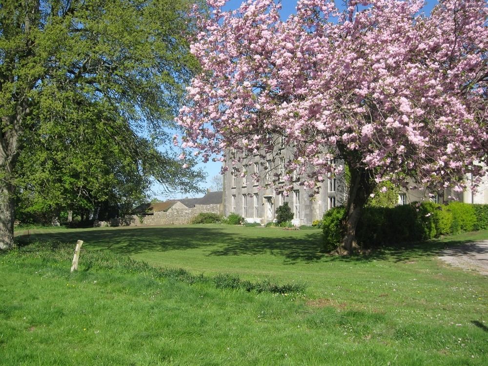 Ash Hill B & B Kilmallock Kültér fotó