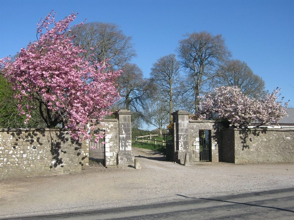 Ash Hill B & B Kilmallock Kültér fotó